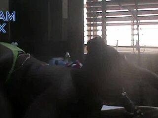 wanna see freestyle blowjob on monster cock?