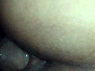 primer video introduction