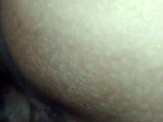 primer video introduction