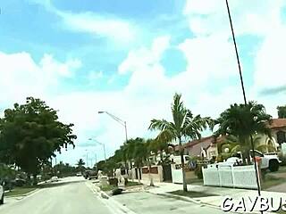 these two gay lads are sucking cocks and fucking