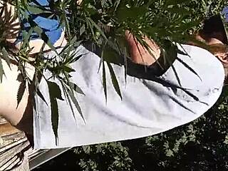 Hot Suck & Fuck In 420 Patch