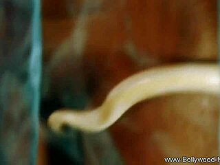 brunette bolly babe is looking hot