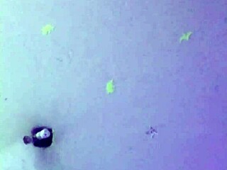 Ya no aguantaba las ganas y le cante un palo