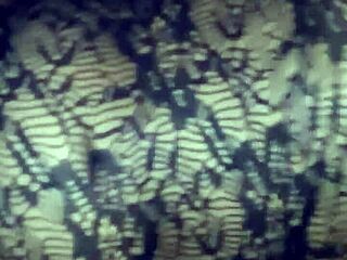 Pussy Jacking Off Only In Close-Up Cunilingus Creampie Lick Pov