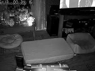 My wife gives the best blowjobs, she sucks so good I can't beleive it!