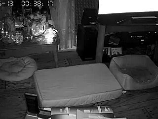 My wife gives the best blowjobs, she sucks so good I can't beleive it!