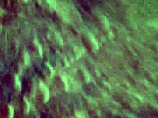 walking step mom cory chase hints at desire for stepson’s attention