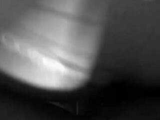 Slutty Roxy Sucks Two Dildos While Getting Fucked Doggy