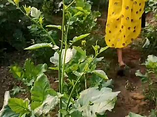 Husband Fucks Wife Mamta Hard In Mustard Field Outdoor