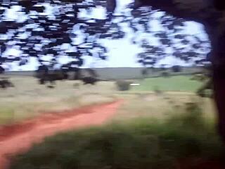 fucked the blonde with my big cock right on the road in public 😈