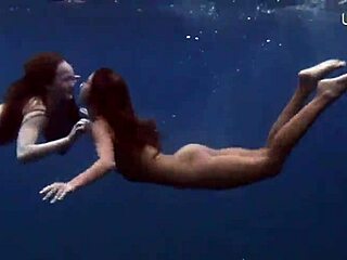 Exploring sea adventures on Tenerife with underwater views.