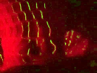 Cum On Ass During Masturbation