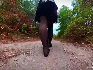 follow my footsteps along the evening path in the lonely forest.