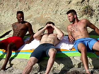 Big Dick Interracial Bareback Group Sex With Fav Boys