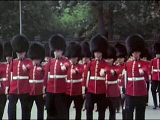 רביעייה וינטג' בין גזעים עם גופות שעירות