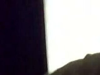 aussie begged to suck cock