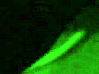 best head with monster cock 😏