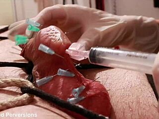 可愛い女主人がフェムドムシーンでチンポ治療に興味津々