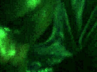 I love watching Lesha give sloppy blowjobs