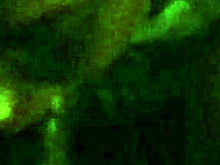 I love watching Lesha give sloppy blowjobs