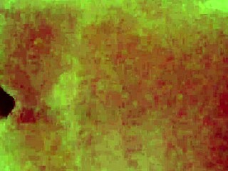 consegui filmar vizinha cavalgando mas ela descobriu morena peitos grandes geme gostoso 😍