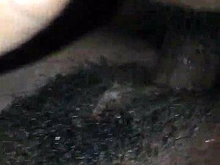 Fucking mate? Yeah, in the pussy!