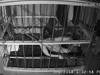 Hej grabben, kolla rå cagecam rakt från buren