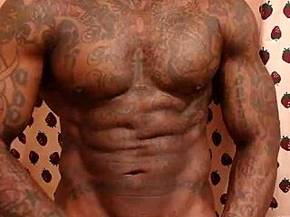 Odvážanie veľkého čierneho chlpatého stopky s Hallelujah Johnson v sólovej akcii