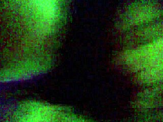 watch sashaa legend suck that big cock amazingly