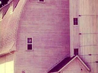 happy holidays cum on big tits