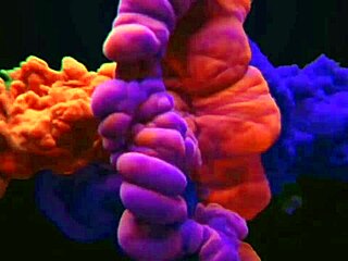 arrastei uma pica da pracinha para meu carro veja completo em xv red