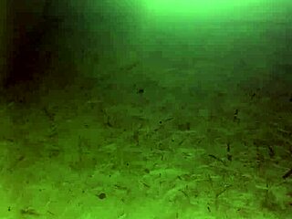 Gaj's Journey Through Life