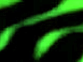 Dirty Talking Latina Bent Over For Anal Assfucking