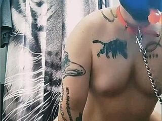 gaywolf meets mastino grande in kinky adventure