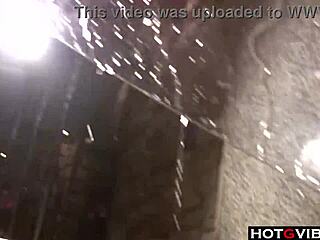 Isotissiset kuumat leikkii dildojen kanssa yhdessä