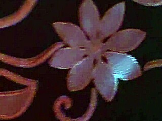 de vacaciones con la compañera de trabajo