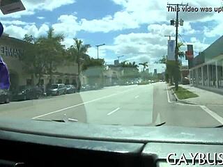 sexy homosexual fucking session