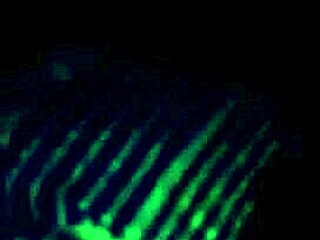 Third Part Yorgelis Kent Erika Schwarzenberg Venezuelan Encounter