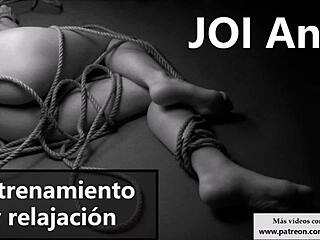 i give joi anal in spanish to relax and train your ass