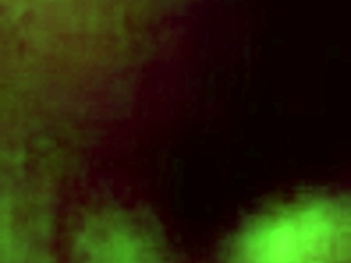 9 Minutes Without Cumming: Gay Blowjob Endurance Test. Can he hold back?