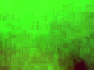 Raw Amateur Blowjob Action Caught on Camera!