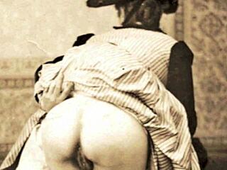 I share my secret erotic confessions as a Victorian gentleman, detailing fucking, blowjobs, and hairy pussies