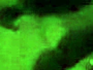 Crazy brunette pornstar takes massive black cock intensely