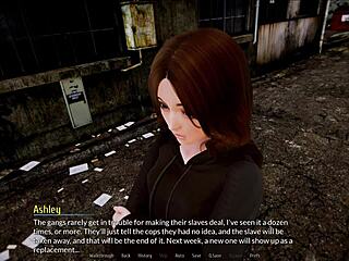 Harem Hotel 257: Intriguing Anime Game Adventure