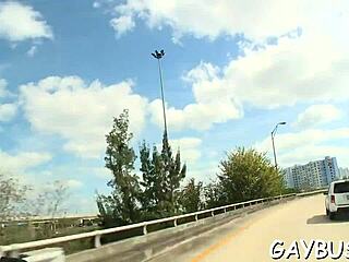 gay bear scenes in porn movie