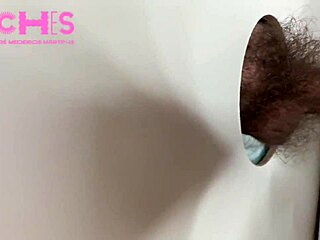 Contos e pintos episode 3