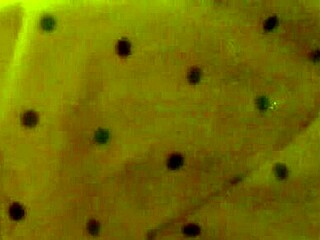 Amber Crider fucked hard