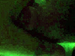 My Tuesday Jumpoff With Ebony Ass Big Ass Wet Pussy Homemade Passion