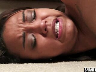 Shanedieselxxx - Ebony babysitter Harley Dean lands job and huge cock action.