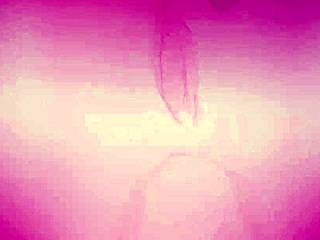 Laplace Collect Features Intense Creampie In Missionary Position